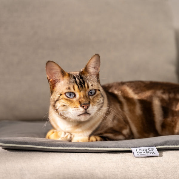 PP 210 Lilli Varmemåtte til kæledyr