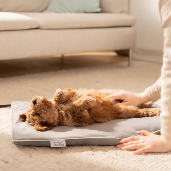 PP 210 Lilli Varmemåtte til kæledyr