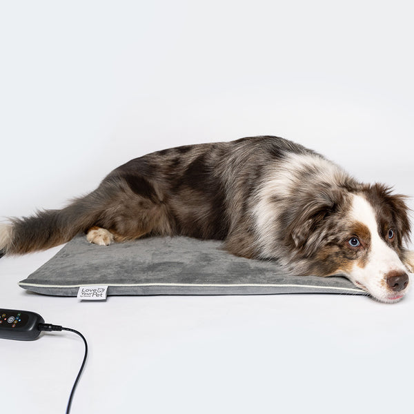 PP 220 Sammy Varmemåtte til kæledyr