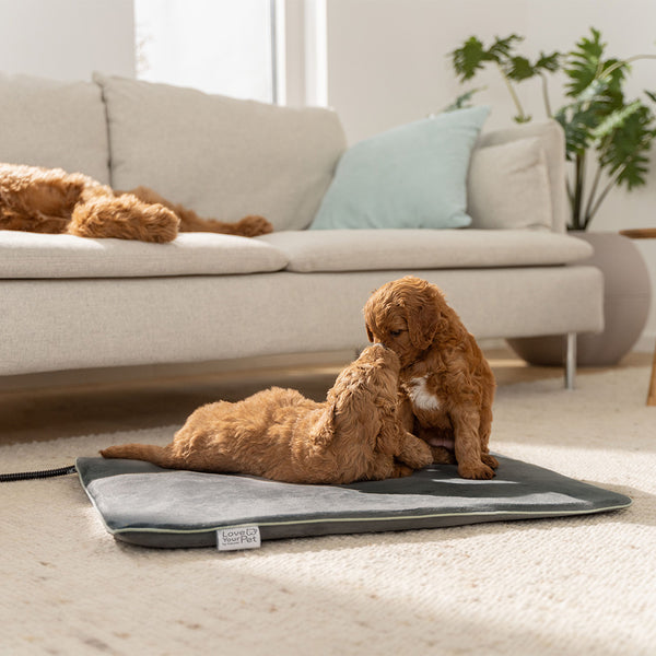 PP 220 Sammy Varmemåtte til kæledyr